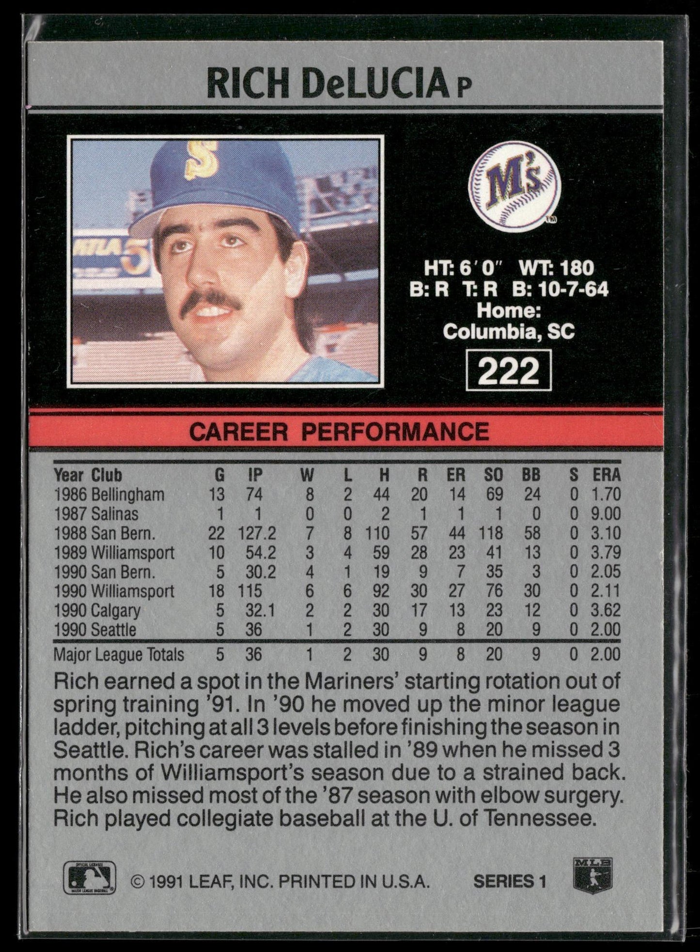 1991 Leaf #222 Rich DeLucia